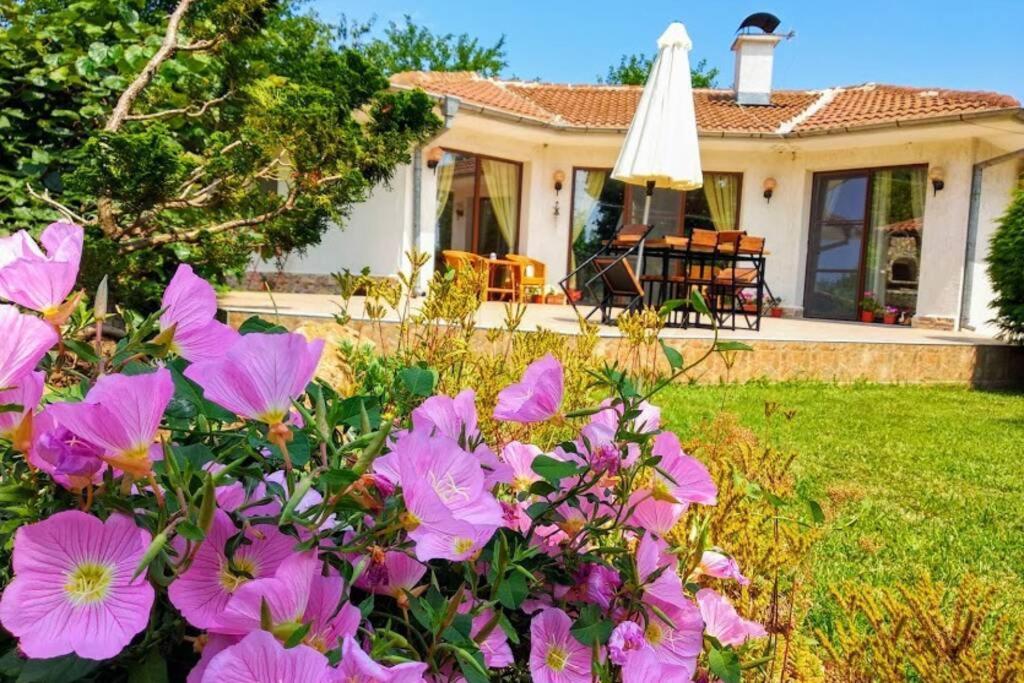Guesthouse Oasis-شابلا المظهر الخارجي الصورة